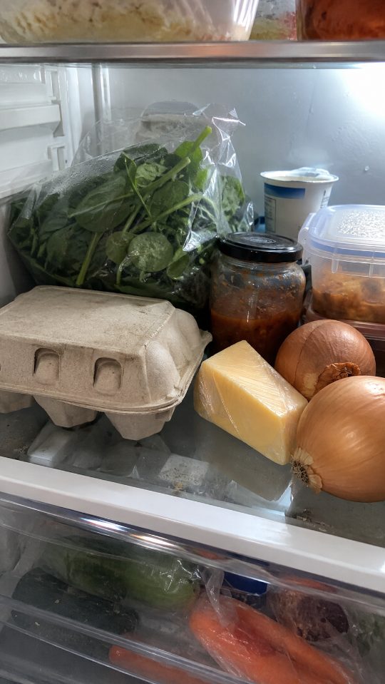 Sample photo of a fridge shelf with eggs, spinach, cheddar cheese and onions